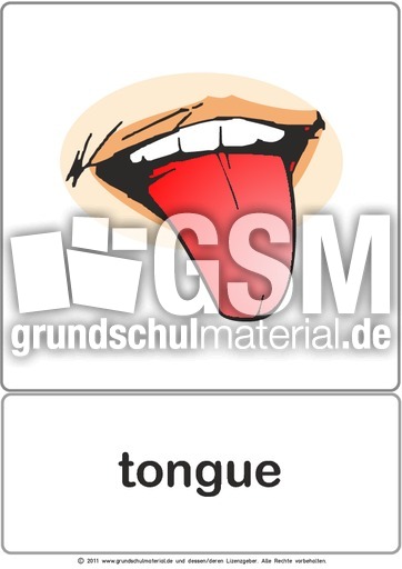 Bildkarte - tongue.pdf